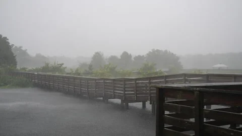 Boardwalk Engulfed in Rain Stock Footage 316421049