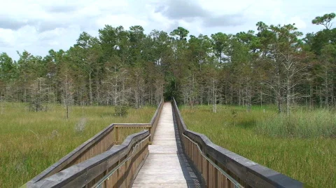 Boardwalk Stock Footage 535026