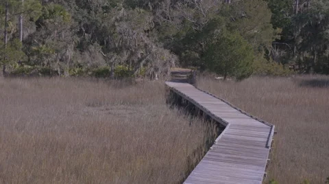Boardwalk into the forest. Stock Footage 45841889