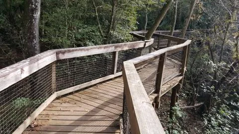 A boardwalk in the forest Stock Photos