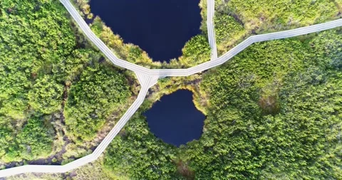 Boardwalk junction over peat bog lake aerial view Stock Footage 327071876