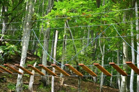 The boardwalk is located in the forest. Basic design of rope parks Stock Photos