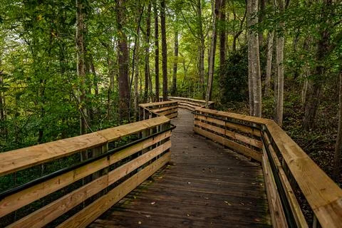 Boardwalk Nature Trail New River Gorge West Virginia Stock Photos