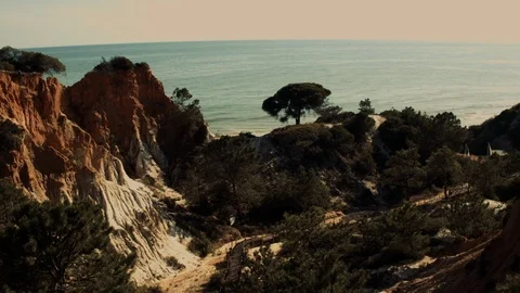Boardwalk to the ocean Stock Footage 114003305