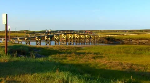 Boardwalk Over the Marsh; 1 Stock Footage 8922324