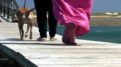 Boardwalk over marsh 7 Stock Footage 11904838