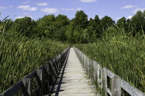 Boardwalk over the marsh Stock Photos