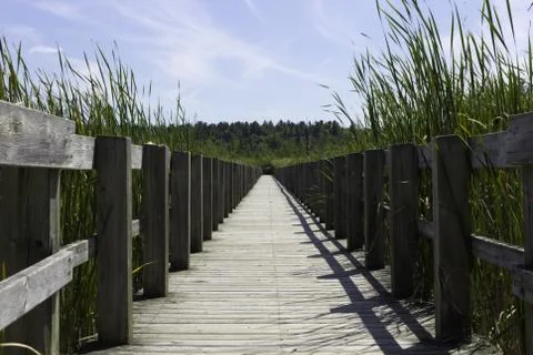 Boardwalk over the marsh Stock Photos