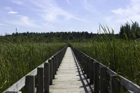 Boardwalk over the marsh Stock Photos
