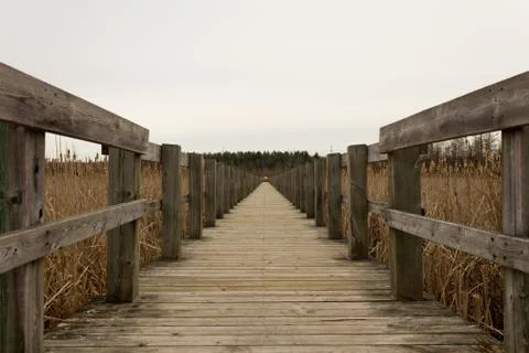 Boardwalk over a marsh Stock Photos