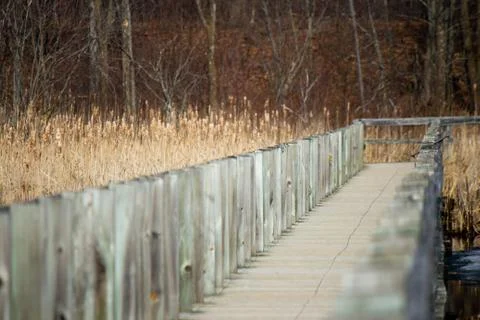 Boardwalk over a marsh Stock Photos