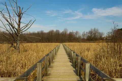 Boardwalk over a marsh Stock Photos