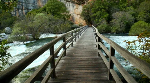 Boardwalk in the park Video stock 42367269