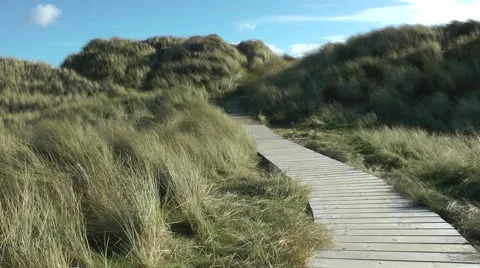 Boardwalk path through sand dunes waving grasses blue sky Stock Footage 47108786