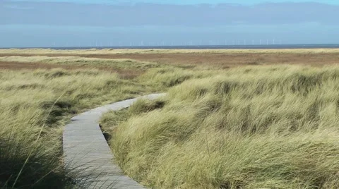 Boardwalk path through sand dunes waving grass wind farm distant Stock Footage 47267978