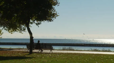 Boardwalk with people Stock Footage 31749940