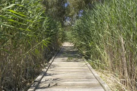Boardwalk Foto stock