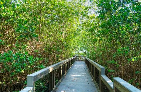 Boardwalk Stock Photos