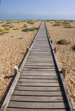 Boardwalk Stock Photos