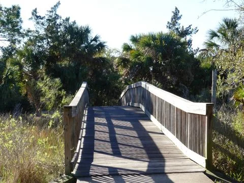 Boardwalk with Raindrops Foto stock