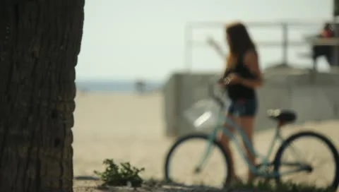 Boardwalk Scenes Stock Footage 11360113