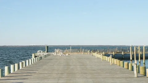 Boardwalk on Summer day Vidéo 75176443