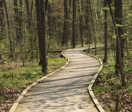 Boardwalk through forest Stock Photos