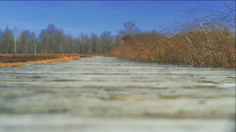 Boardwalk through prairie zoom in Stock Footage 57239734