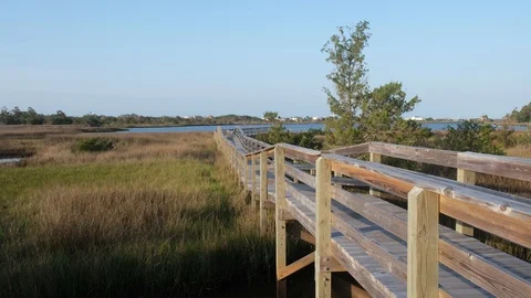 Boardwalk Through Saltwater Marsh Stock Footage 108736355