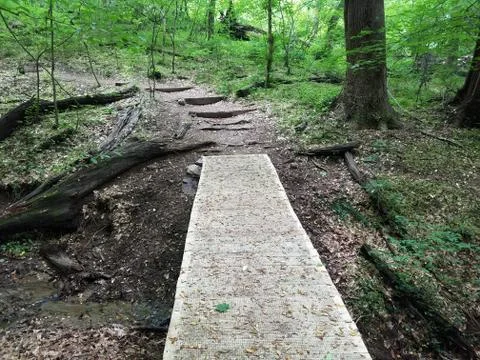 Boardwalk trail or path with mesh in the forest or woods with stream Stock Photos
