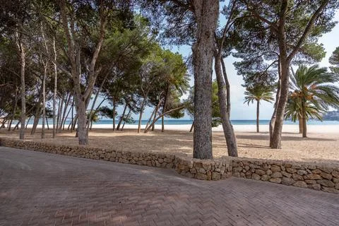 Boardwalk with trees on the beach Stock Photos