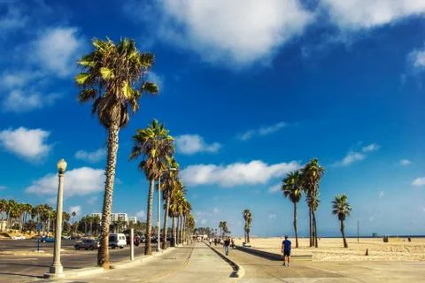 Boardwalk of Venince beach with palms, Los Angeles, USA Stock Photos