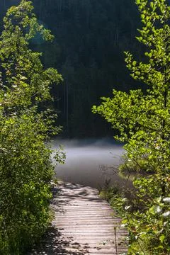 The Boardwalk To The Viewpoint Stock Photos