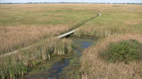 Boardwalk winds it way through the Canadian wetlands (High Definition) Stock Footage 359824