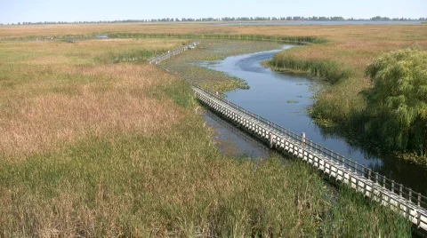 Boardwalk winds it way through the Canadian wetlands (High Definition) Stock Footage 359826