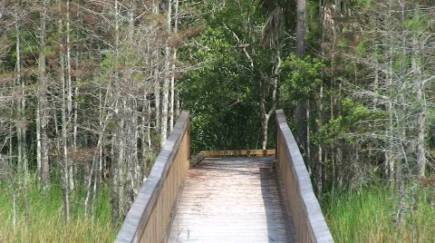 Boardwalk Zoom Stock Footage 534999