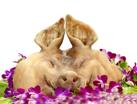 Boar's head Stock Photos