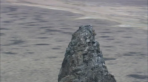 Boar's Tusk Stock Footage 65439968