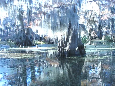 Boat 1 Stock Footage 5299361