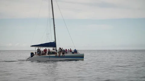 Boat 216 Stock Footage 155495718