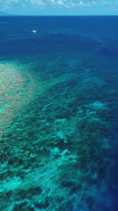 Boat above coral reef gradient near shore Stock Footage 325367351