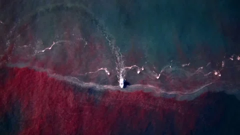 Boat from above ' Stock Footage 147693554