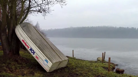 The boat aganst the tree Stock Footage 35343284