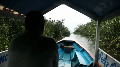 Boat On Amazon River Stock Footage 10737373