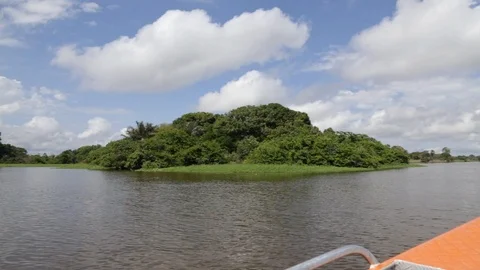 Boat on the Amazon River Video stock 88417590