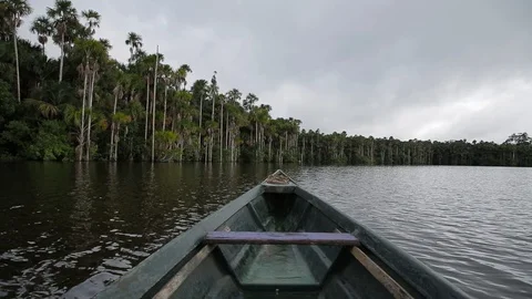 A boat on the amazon river 스톡 동영상 103044086