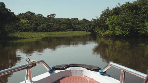 Boat at amazon river Vídeo Stock 164046589
