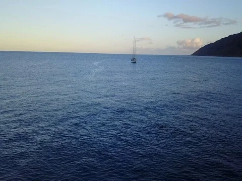 Boat and Dolphins at Makua Stock Footage 80965736