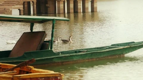 Boat and ducks in group of ducks floating in gadisar lake jaisalmer  Stock Footage 45346676