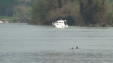 Boat and ducks on a river Stock Footage 2854716